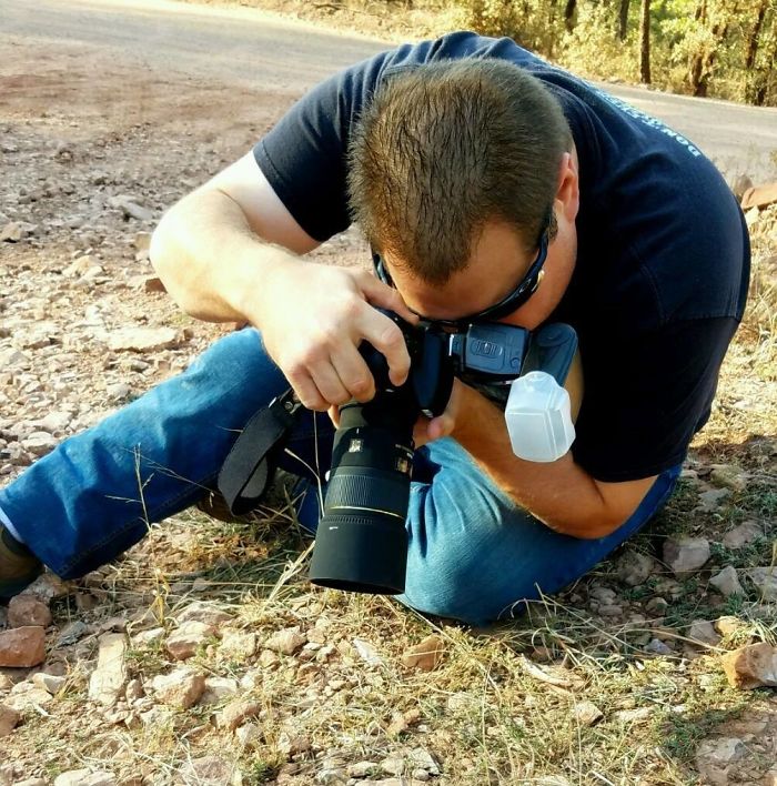 Beautiful Photograph Of Two Bees Sleeping In A Flower By Joe Neely 01