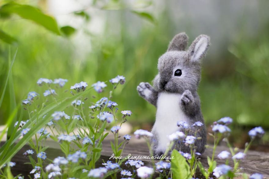 Cute And Realistic Handmade Felted Wool Animals By Anna Yastrezhembovskaya 13