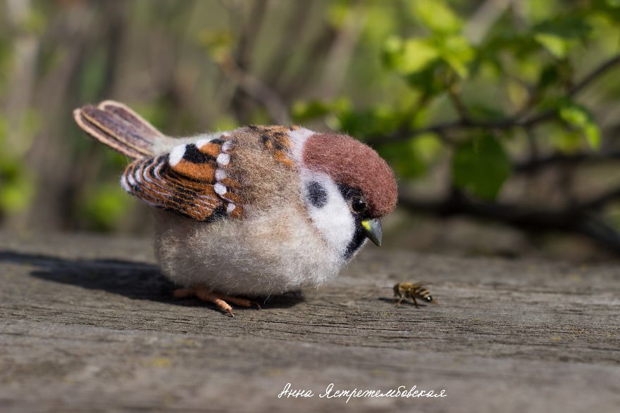 Cute And Realistic Handmade Felted Wool Animals By Anna Yastrezhembovskaya 19
