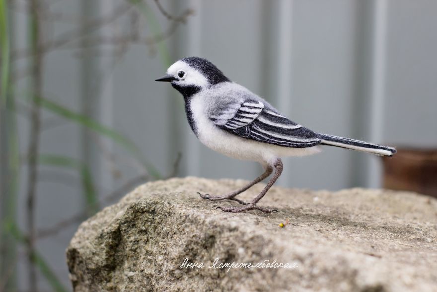Cute And Realistic Handmade Felted Wool Animals By Anna Yastrezhembovskaya 21