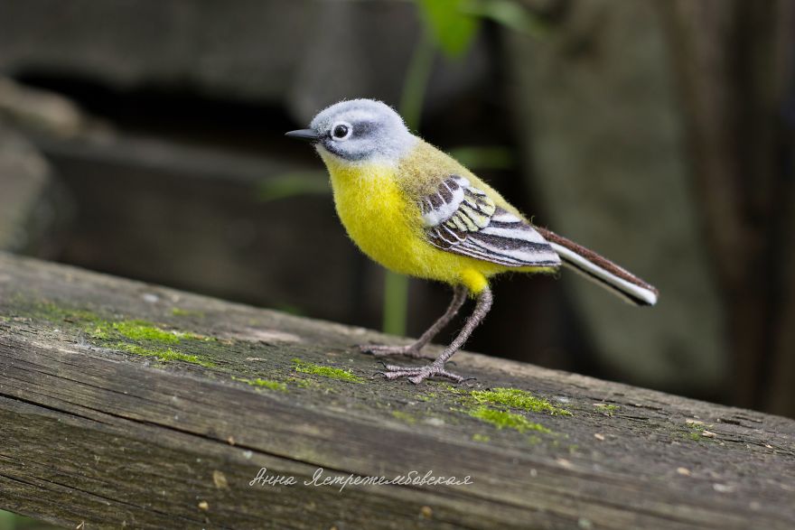 Cute And Realistic Handmade Felted Wool Animals By Anna Yastrezhembovskaya 25