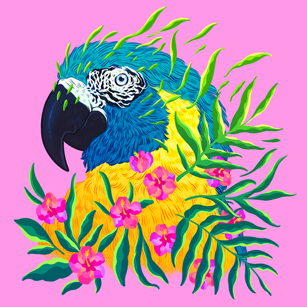 Endangered Species Illustrations Of Adorned Animals In Danger Of Extinction By Jen Bartel 1
