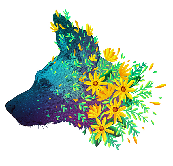 Endangered Species Illustrations Of Adorned Animals In Danger Of Extinction By Jen Bartel 11