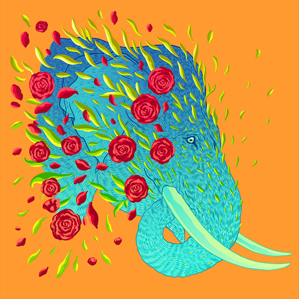 Endangered Species Illustrations Of Adorned Animals In Danger Of Extinction By Jen Bartel 7