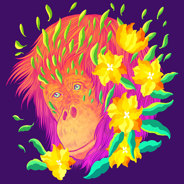 Endangered Species Illustrations Of Adorned Animals In Danger Of Extinction By Jen Bartel 9