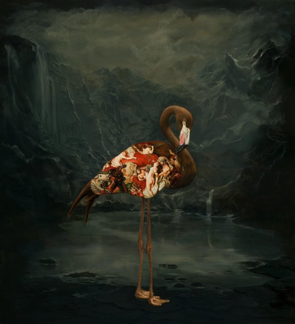 Oil On Birds Beautifully Oil Painted Birds Infused With Detailed Classic Paintings By Carolynda Macdonald 1