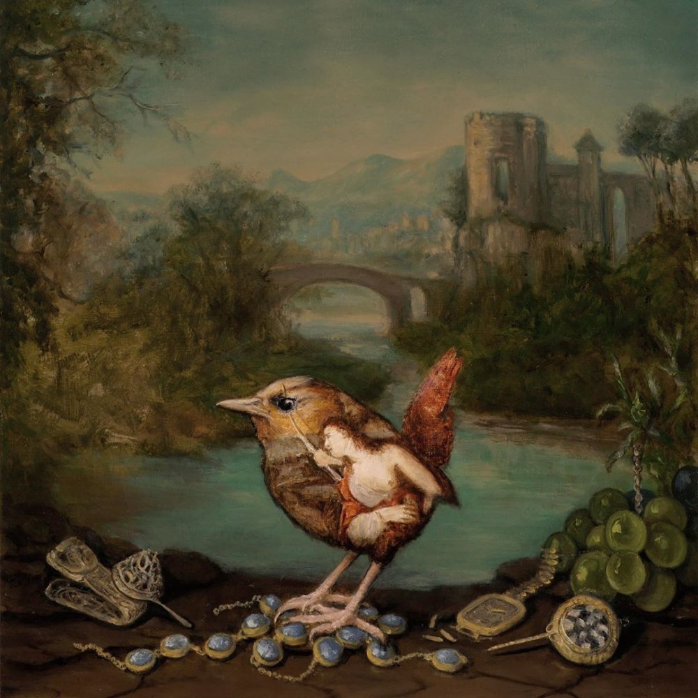 Oil On Birds Beautifully Oil Painted Birds Infused With Detailed Classic Paintings By Carolynda Macdonald 10