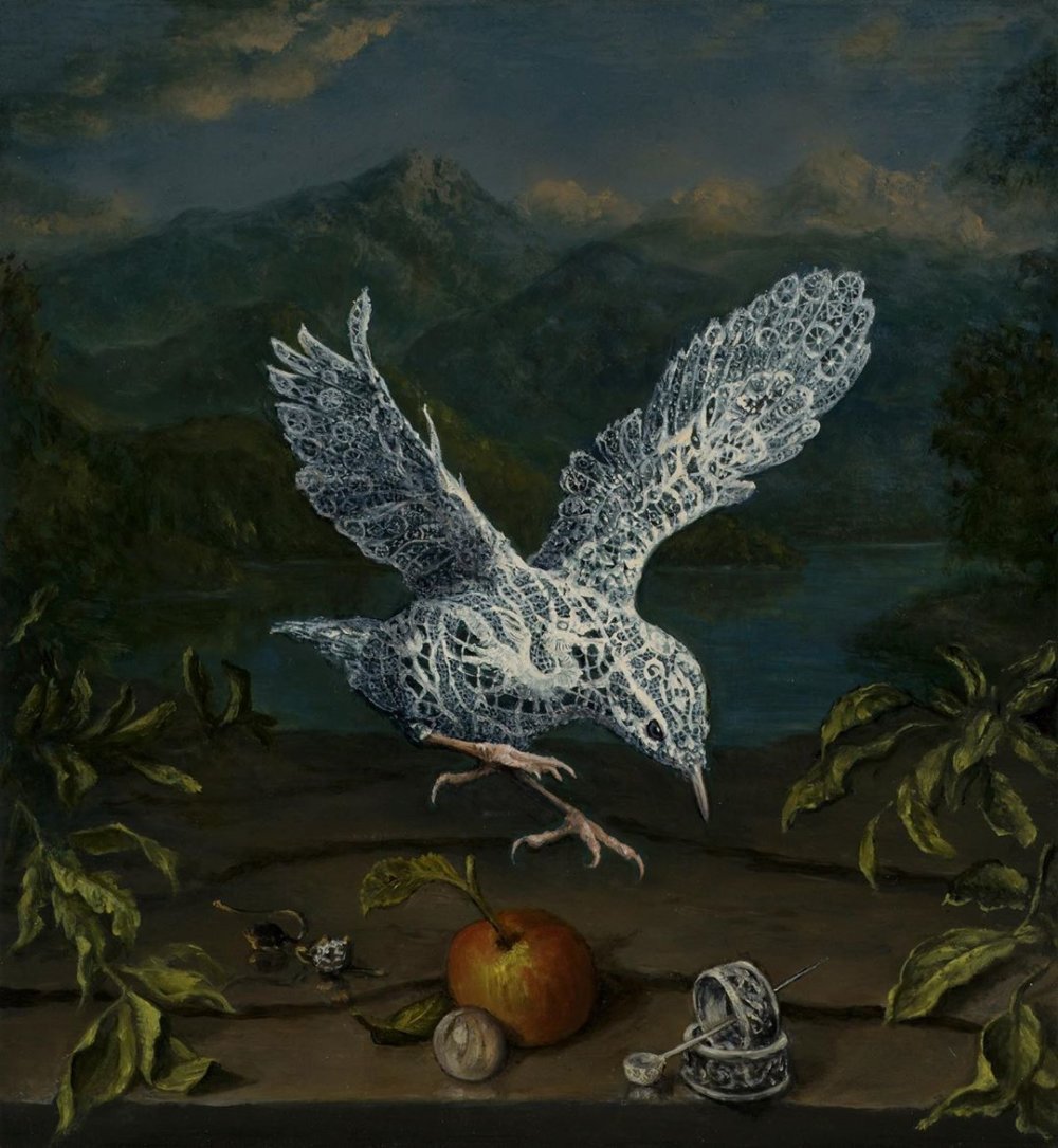 Oil On Birds Beautifully Oil Painted Birds Infused With Detailed Classic Paintings By Carolynda Macdonald 12