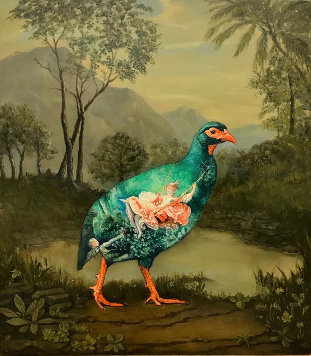 Oil On Birds Beautifully Oil Painted Birds Infused With Detailed Classic Paintings By Carolynda Macdonald 4