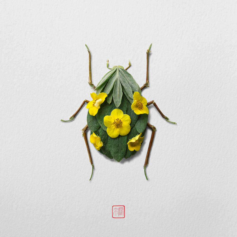 Petals And Stems Turned Into Animal Sculptures By Raku Inoue 14