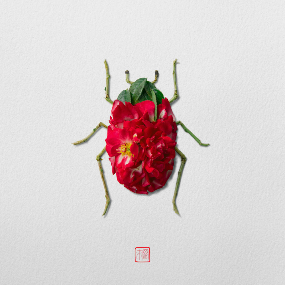 Petals And Stems Turned Into Animal Sculptures By Raku Inoue 17