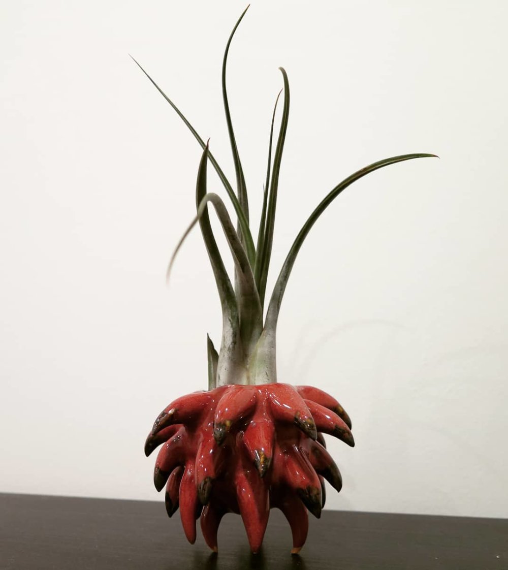 Teeth And Claws Otherworldly Ceramic Vessels By Gregory Knopp 13