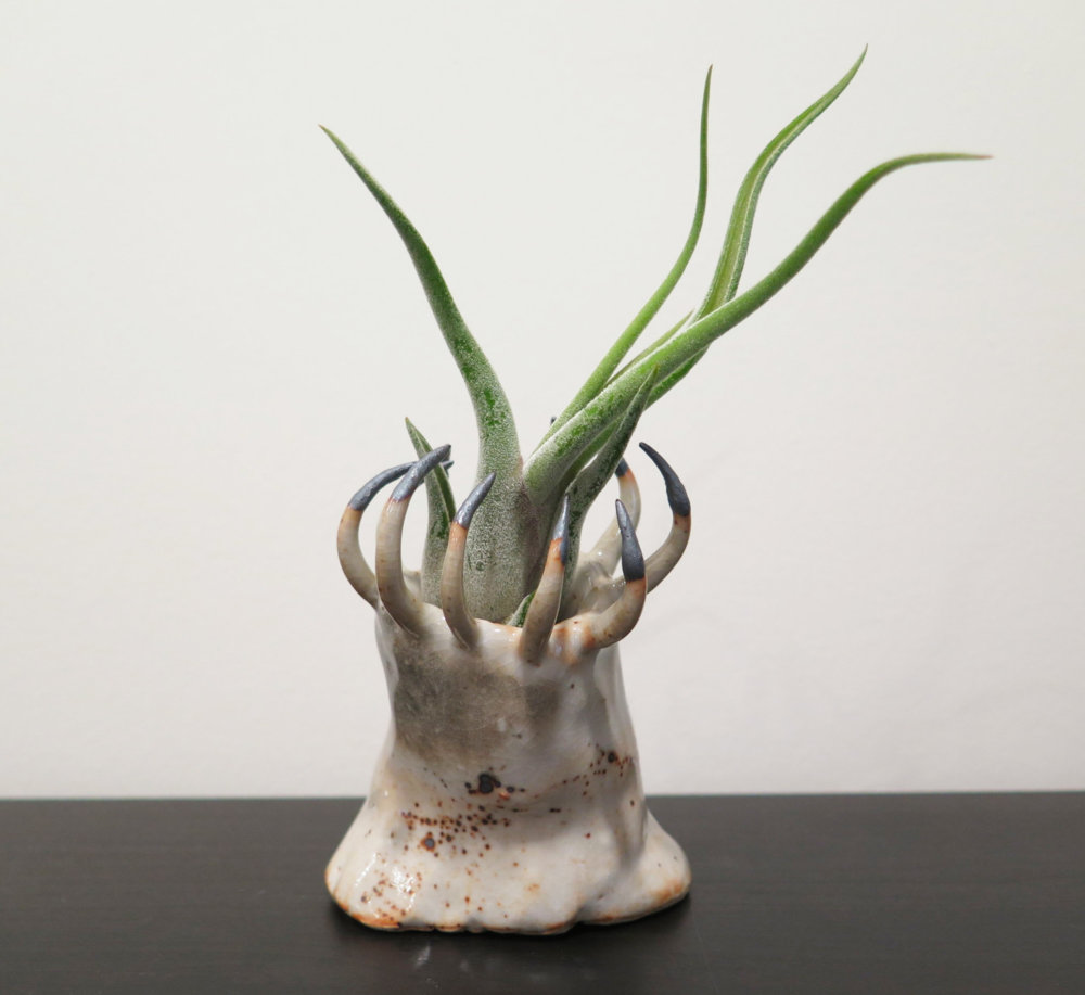 Teeth And Claws Otherworldly Ceramic Vessels By Gregory Knopp 4