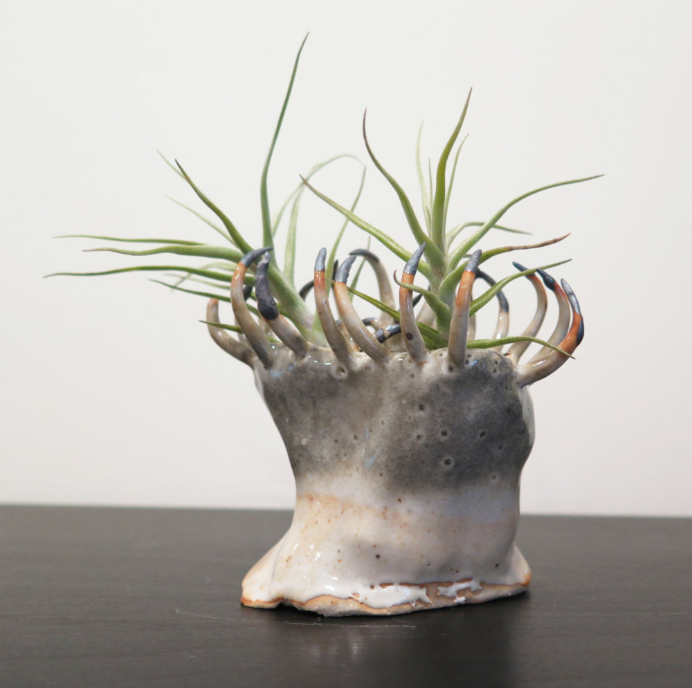 Teeth And Claws Otherworldly Ceramic Vessels By Gregory Knopp 8