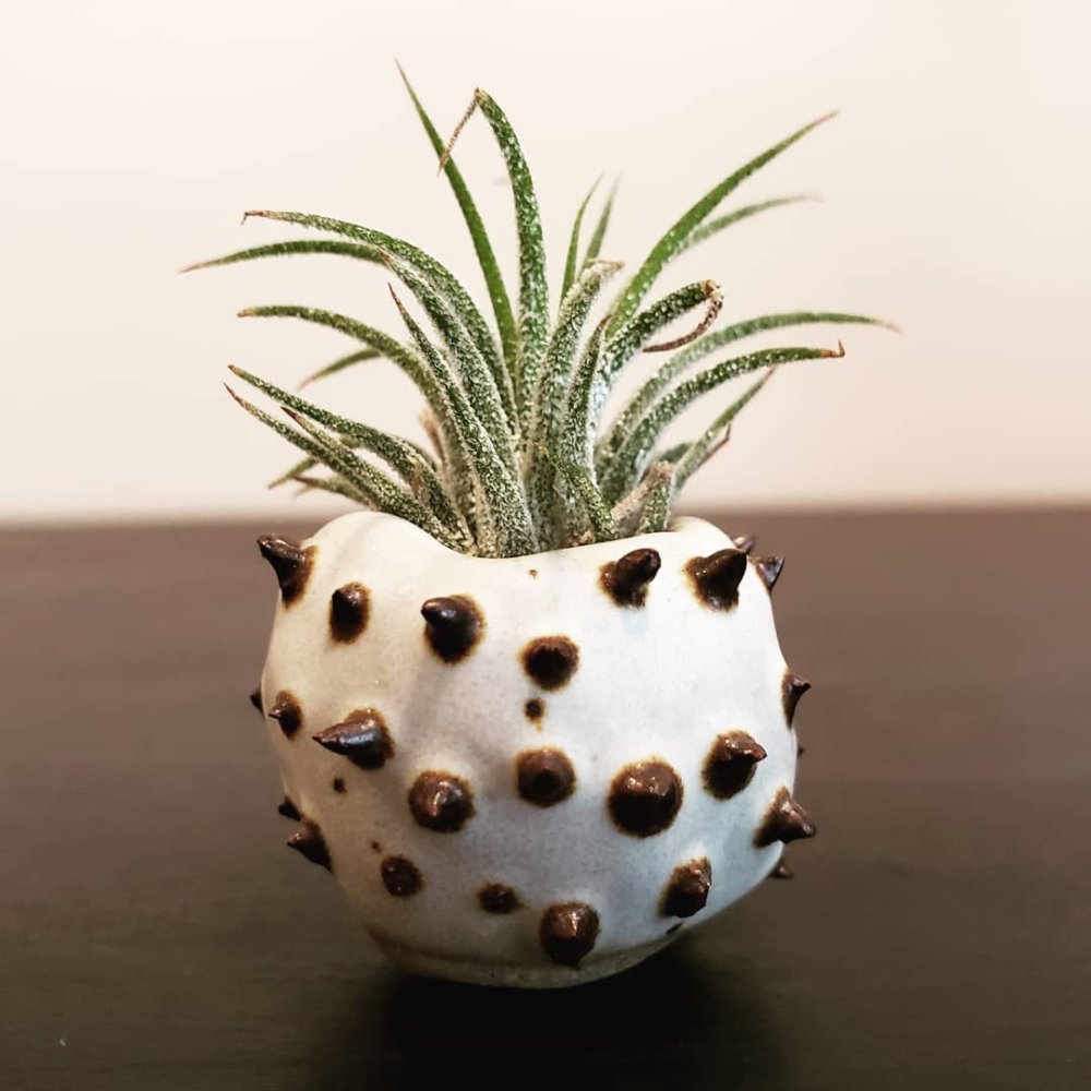 Teeth And Claws Otherworldly Ceramic Vessels By Gregory Knopp 9