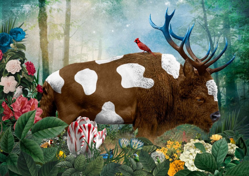 The Day I Visited Eden Gorgeous Collages Of Cross Breed Creatures By Andre Sanchez 5