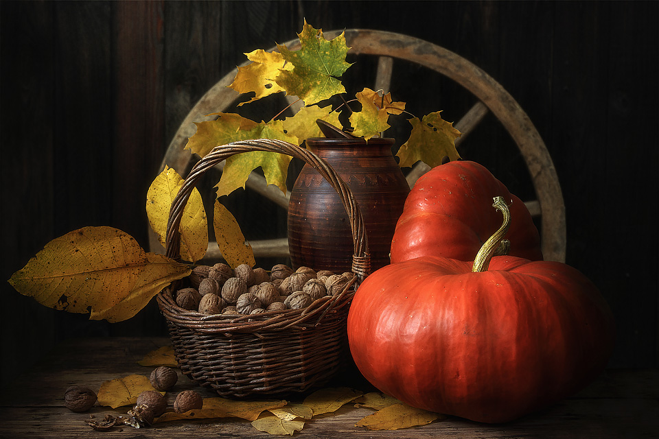 The Exuberant Still Life Photography Of Irina Prikhodko 4