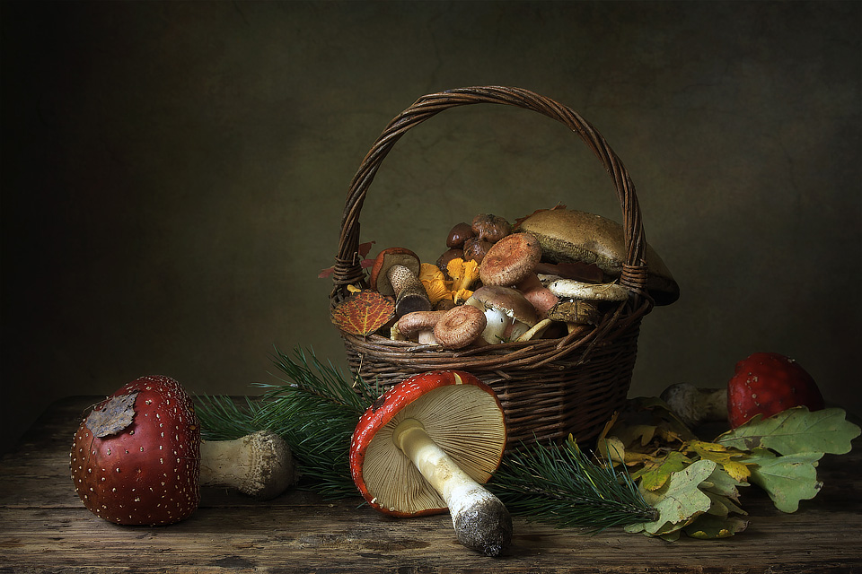 The Exuberant Still Life Photography Of Irina Prikhodko 7