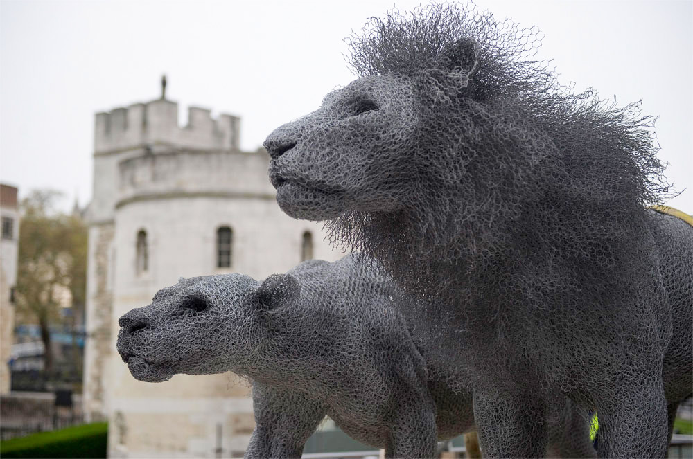 Animal Galvanized Wire Mesh Sculptures By Kendra Haste 9