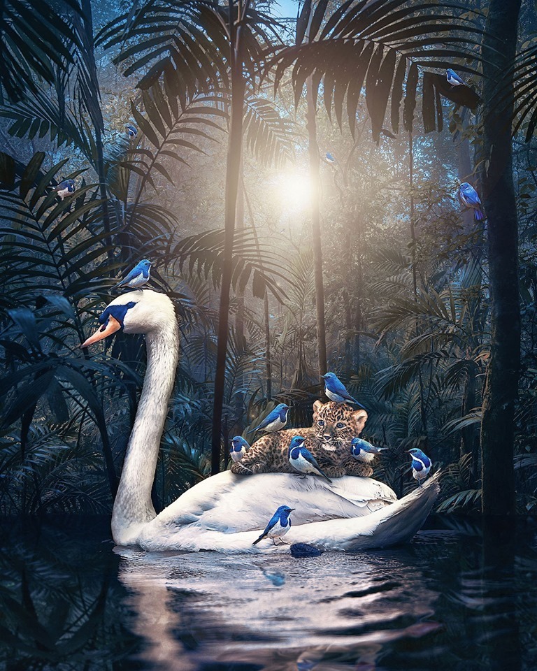 Dreamlike Animal Portraits Enchanting Photo Manipulations By Andreas Haggkvist 11