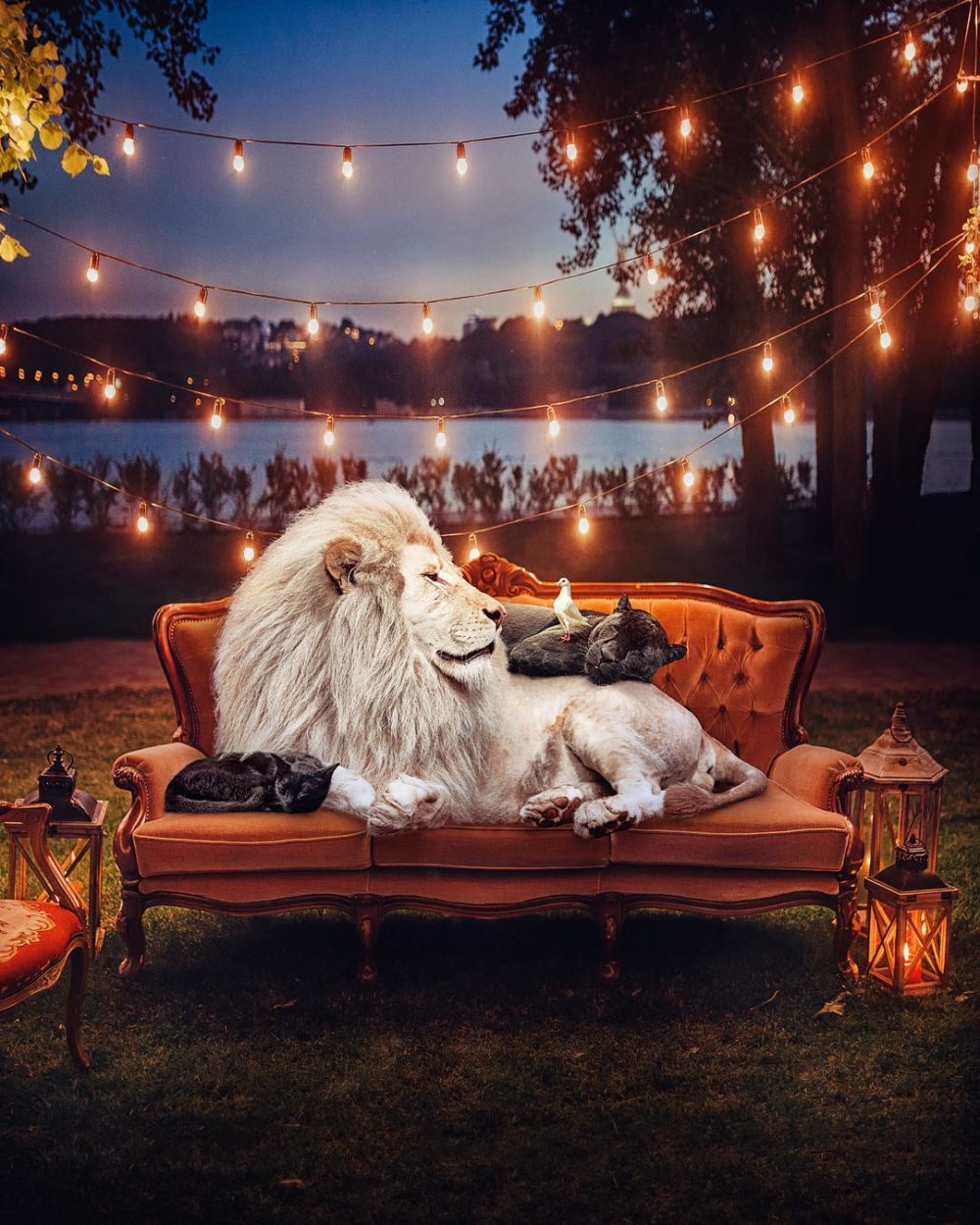 Dreamlike Animal Portraits Enchanting Photo Manipulations By Andreas Haggkvist 14