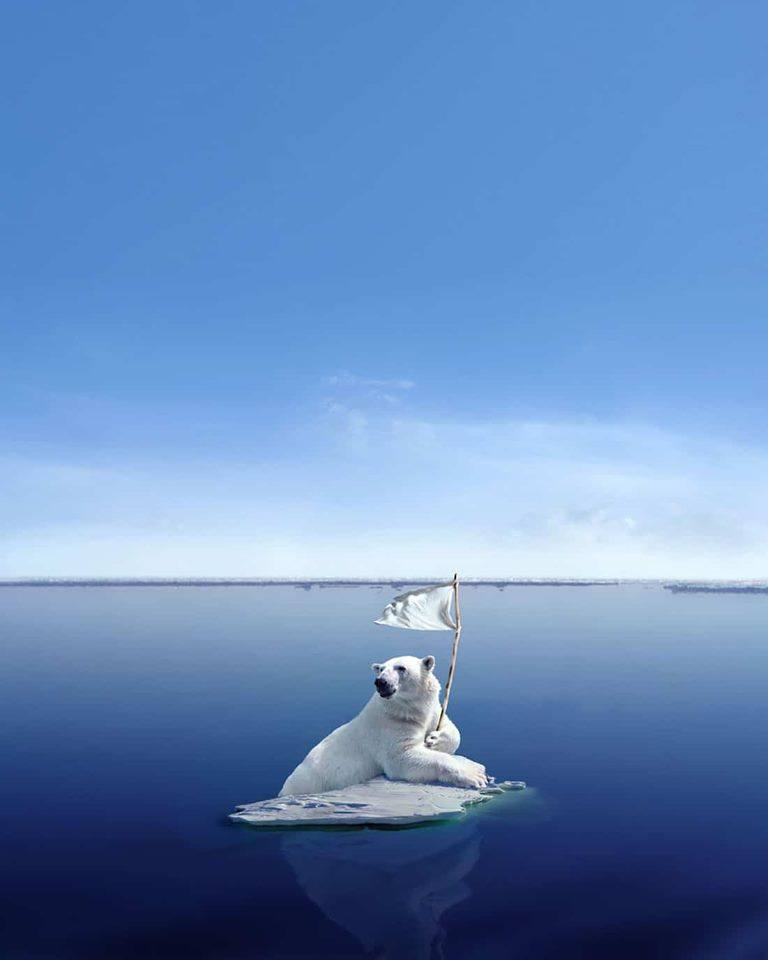 Dreamlike Animal Portraits Enchanting Photo Manipulations By Andreas Haggkvist 7