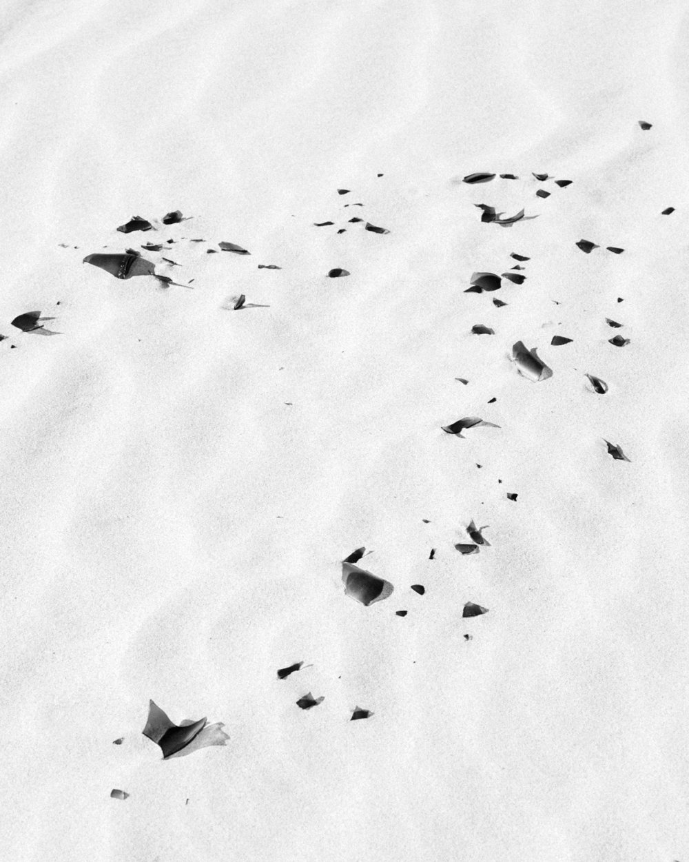 Dune Studies A Desert Photography Series By John Francis Peters 13