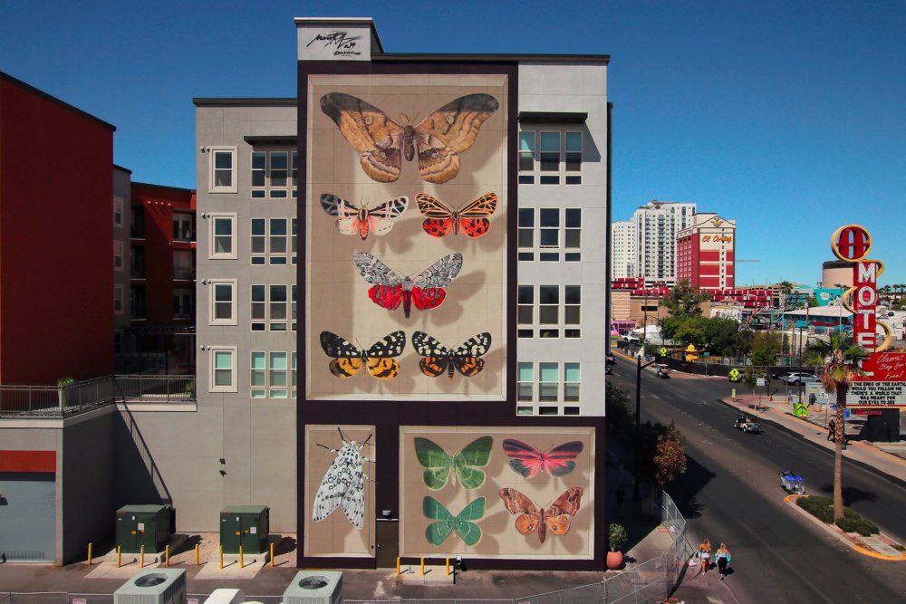 Giant 3d Photo Realistic Murals Of Butterflies By Mantra 1