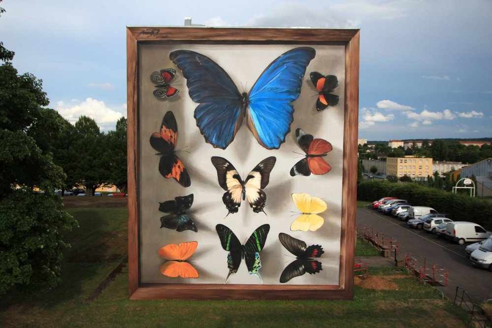 Giant 3d Photo Realistic Murals Of Butterflies By Mantra 11