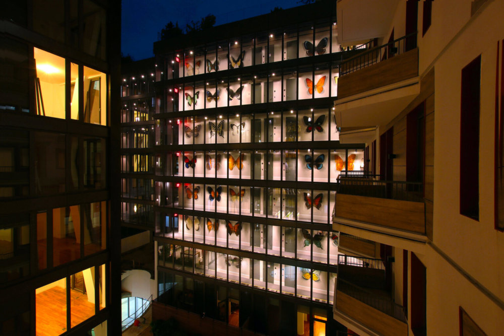 Giant 3d Photo Realistic Murals Of Butterflies By Mantra 14