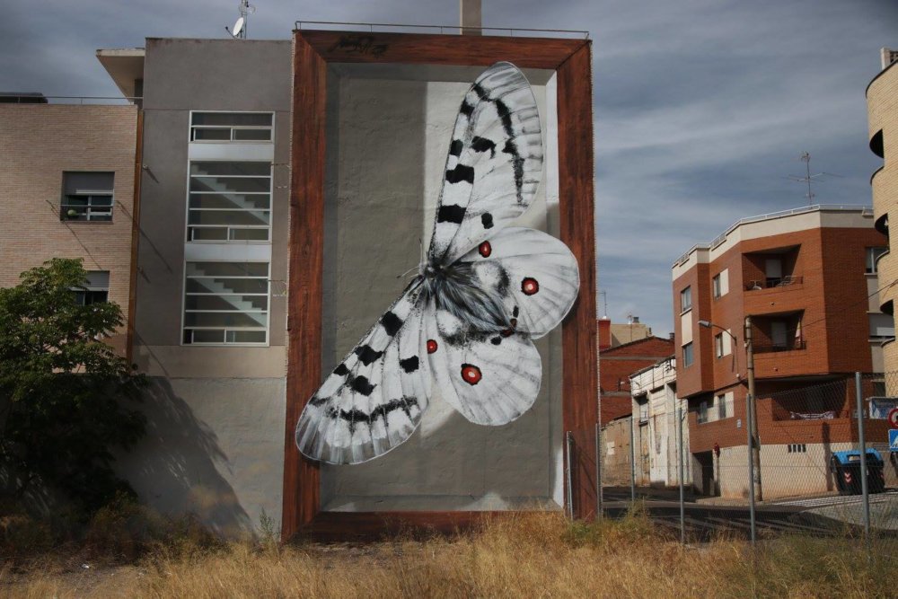 Giant 3d Photo Realistic Murals Of Butterflies By Mantra 9