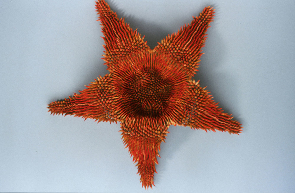 Kinesthetic Sculptures Made Out Of Colored Pencils By Jennifer Maestre 1