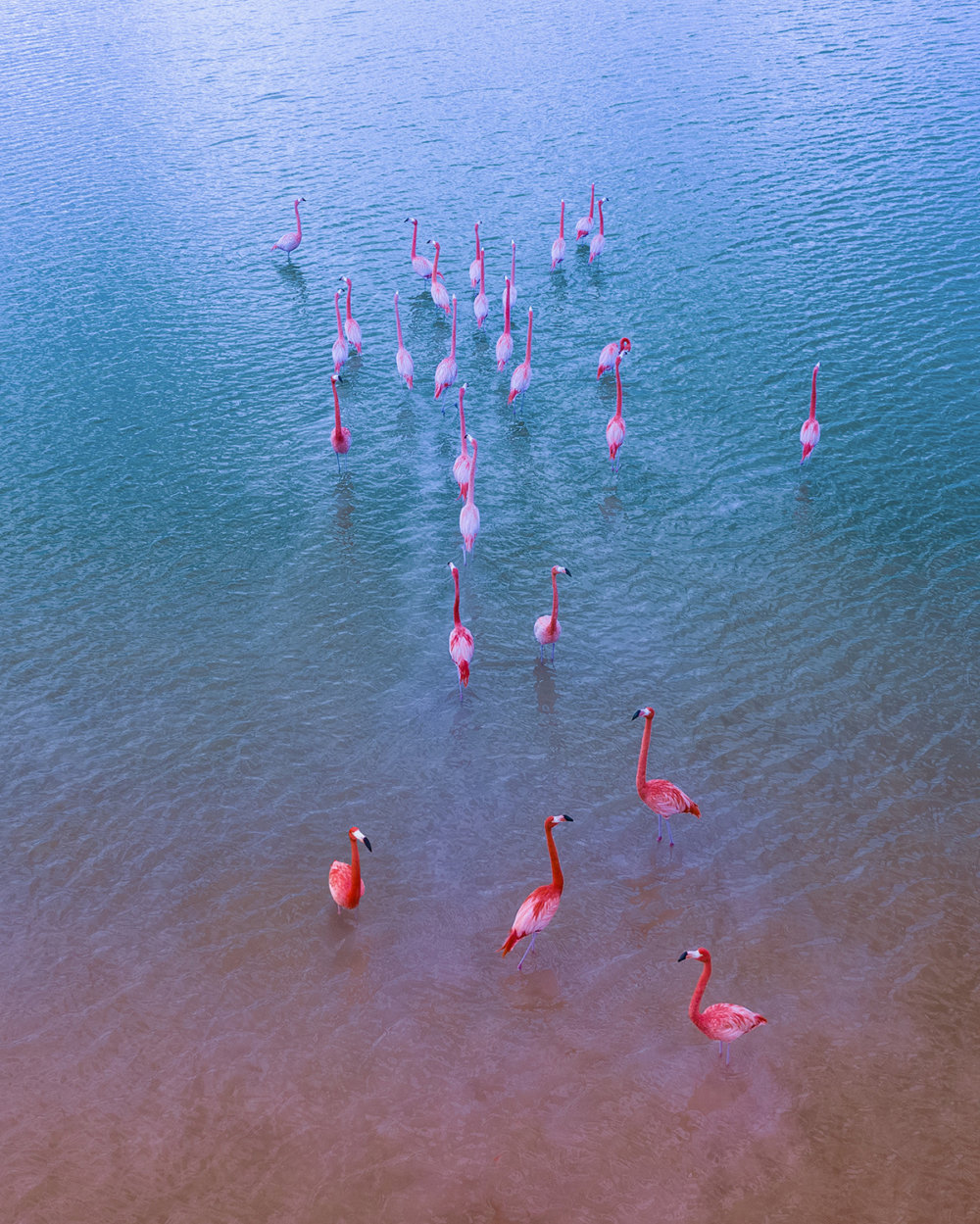 Mexico From Above Aerial Photography Series By Dimitar Karanikolov 7