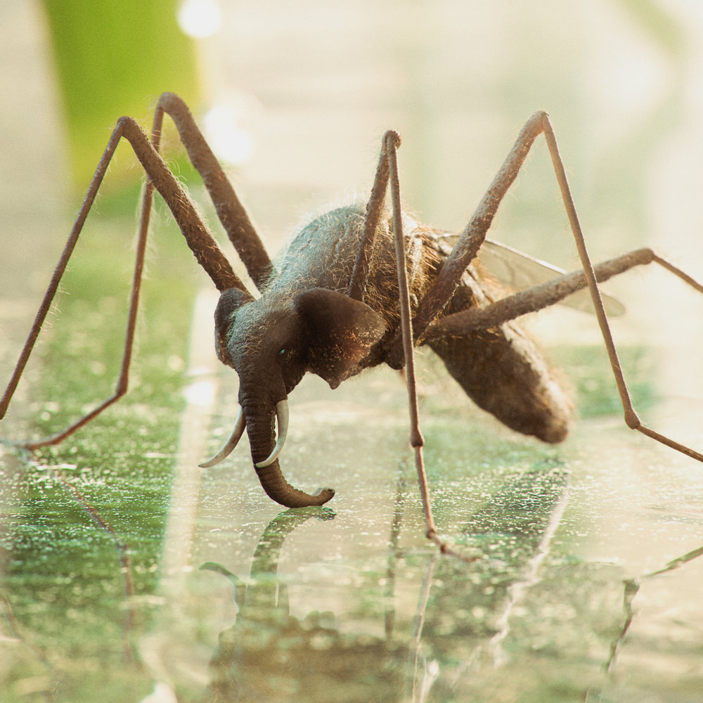 Mudbugs Digital Illustrations Of Mammals Hybridized With Insects By Cristian Girotto 2