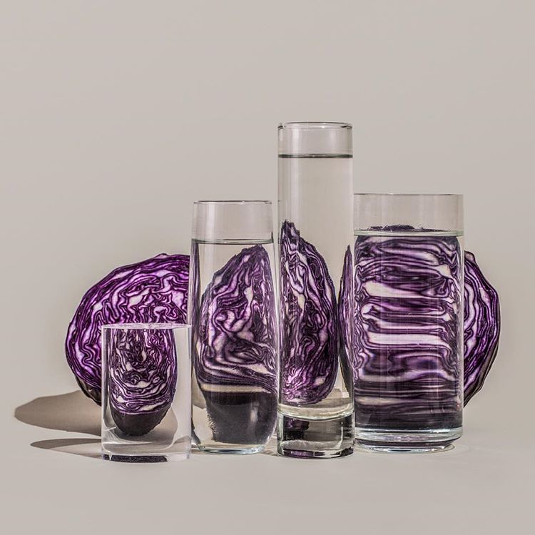 Perspective Food And Plants Distorted Through The Glass By Suzanne Saroff 10