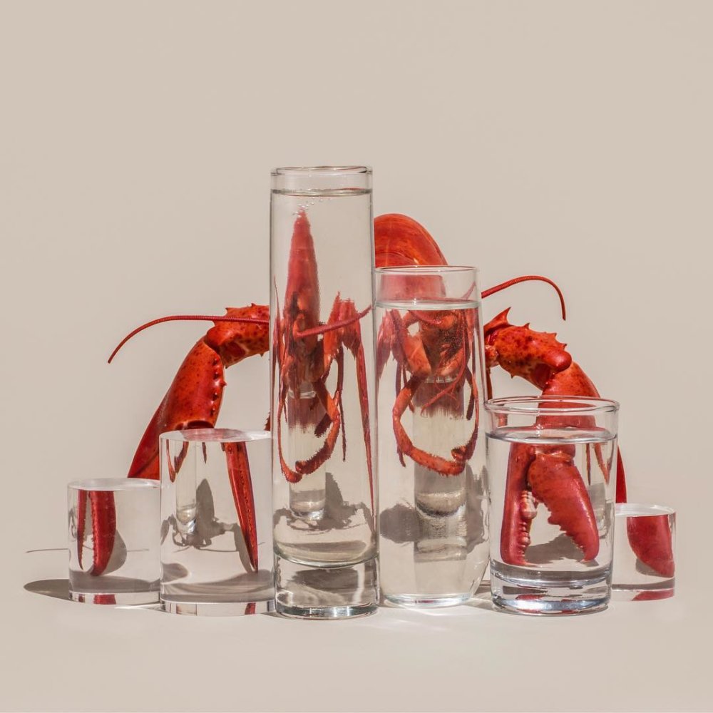 Perspective Food And Plants Distorted Through The Glass By Suzanne Saroff 11