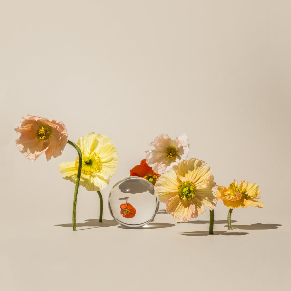 Perspective Food And Plants Distorted Through The Glass By Suzanne Saroff 13