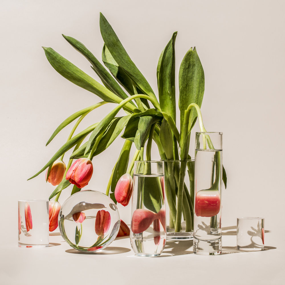 Perspective Food And Plants Distorted Through The Glass By Suzanne Saroff 15