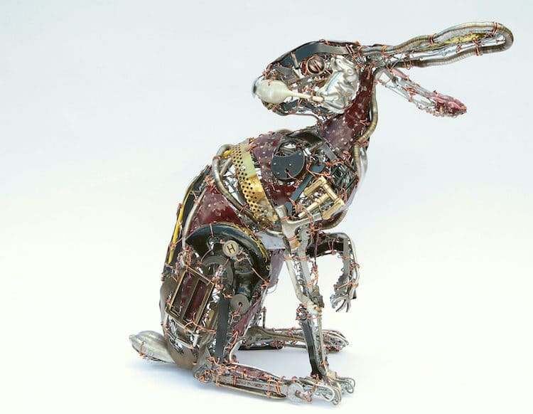 Scrap Metal And Discarded Objects Recycled Into Lifelike Animal Sculptures By Barbara Franc 13
