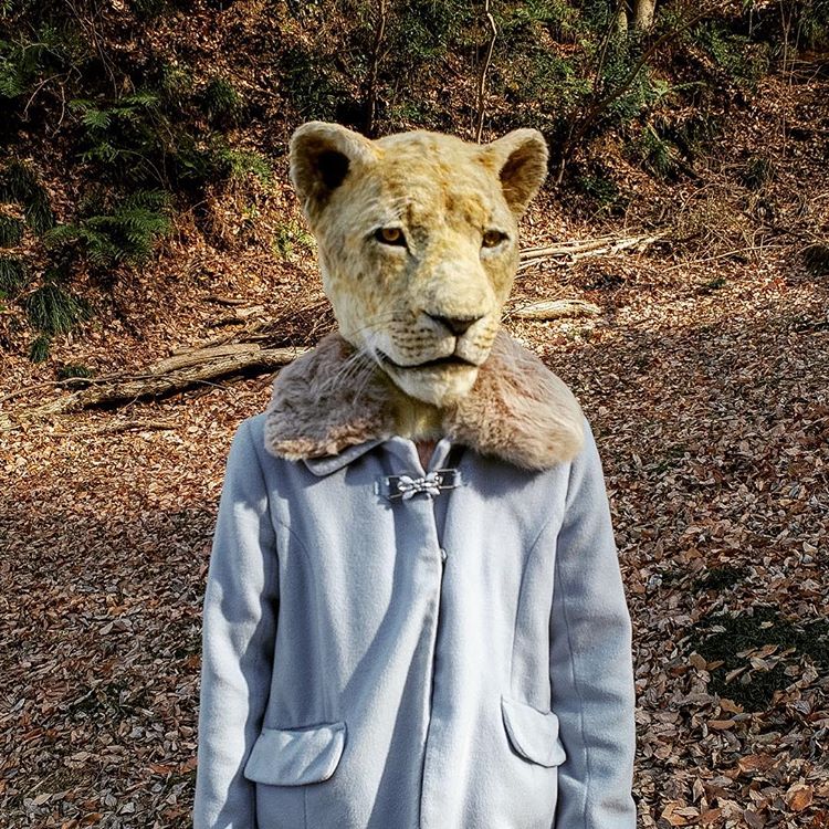 Stunning Realistic Lifelike Animal Masks By Kamonohashi Zokei 05