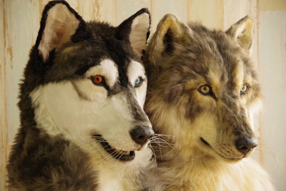 Stunning Realistic Lifelike Animal Masks By Kamonohashi Zokei 07