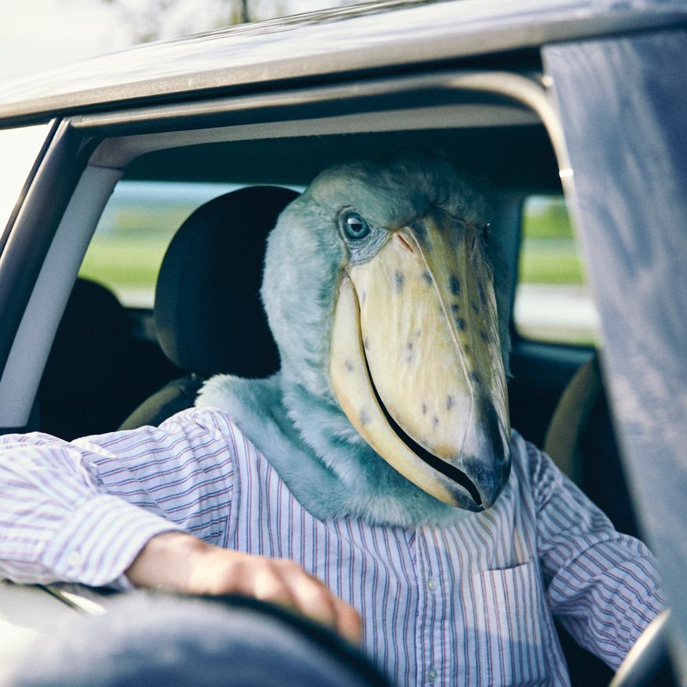 Stunning Realistic Lifelike Animal Masks By Kamonohashi Zokei 13