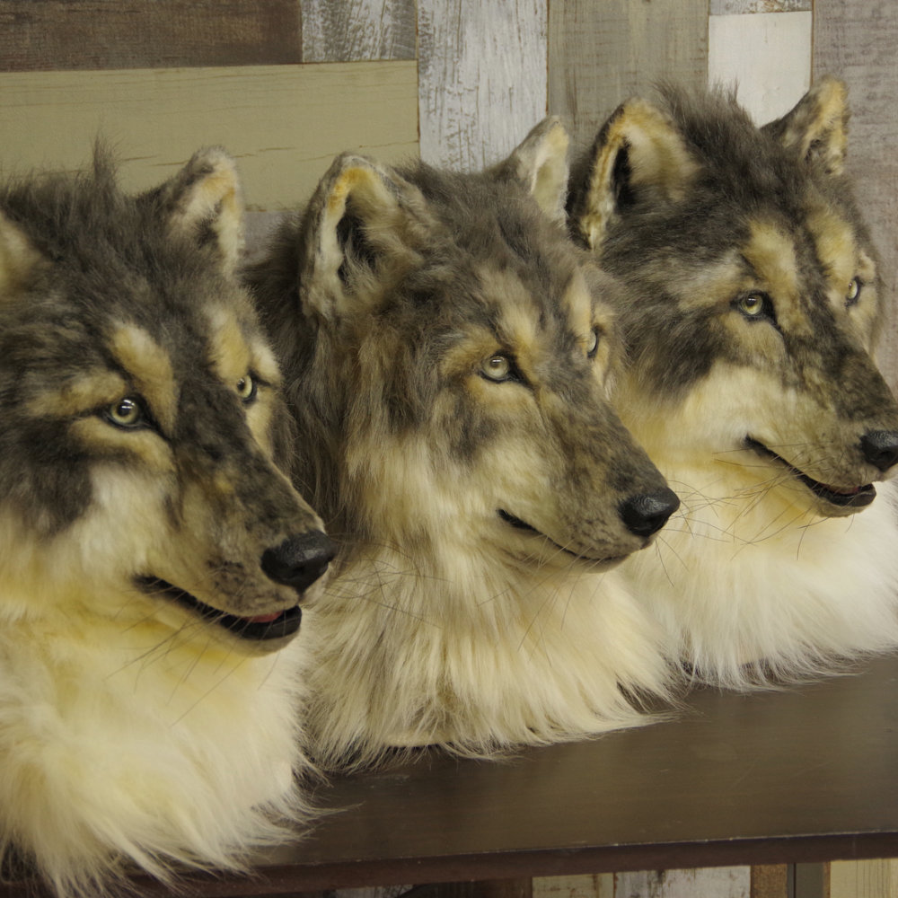 Stunning Realistic Lifelike Animal Masks By Kamonohashi Zokei 14