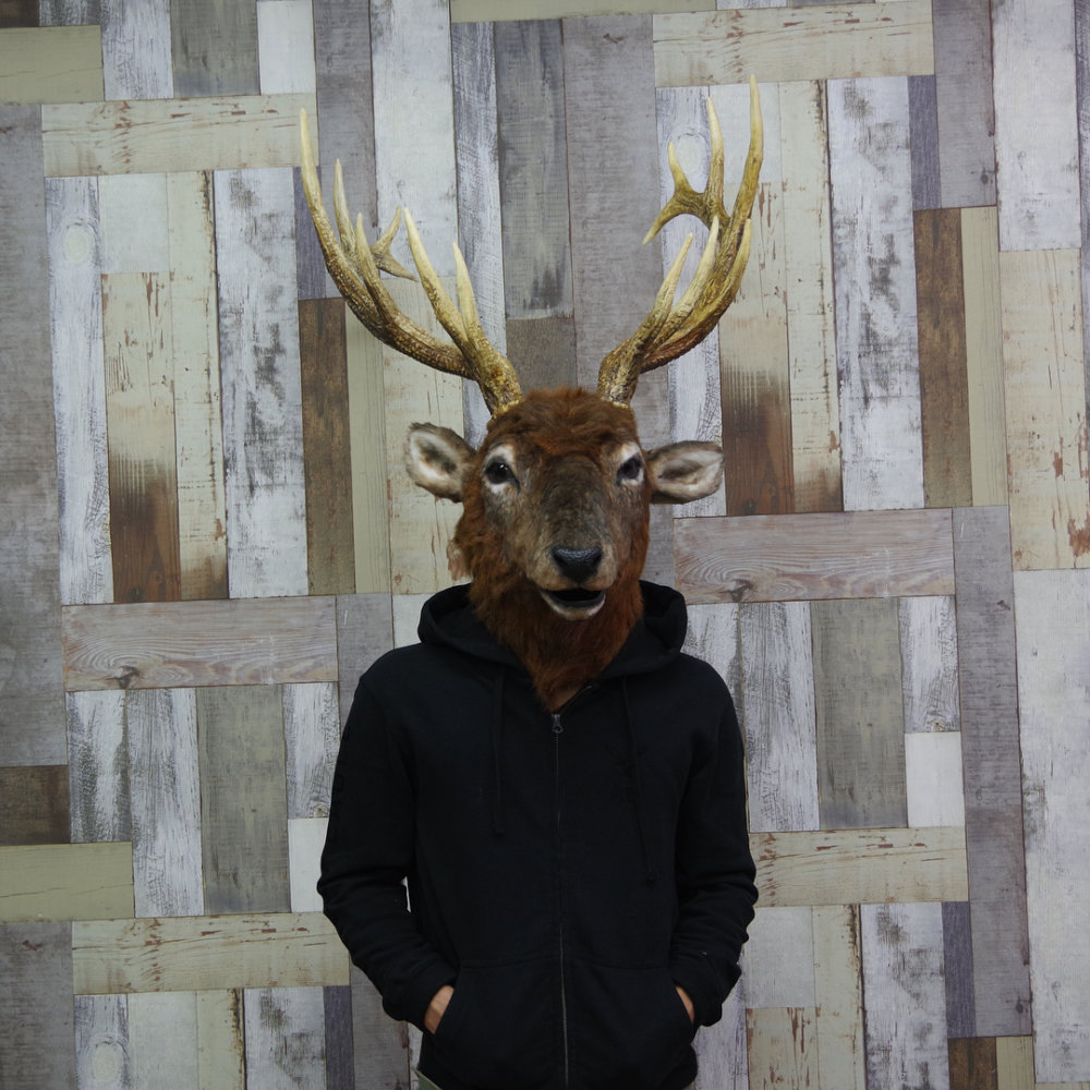 Stunning Realistic Lifelike Animal Masks By Kamonohashi Zokei 15