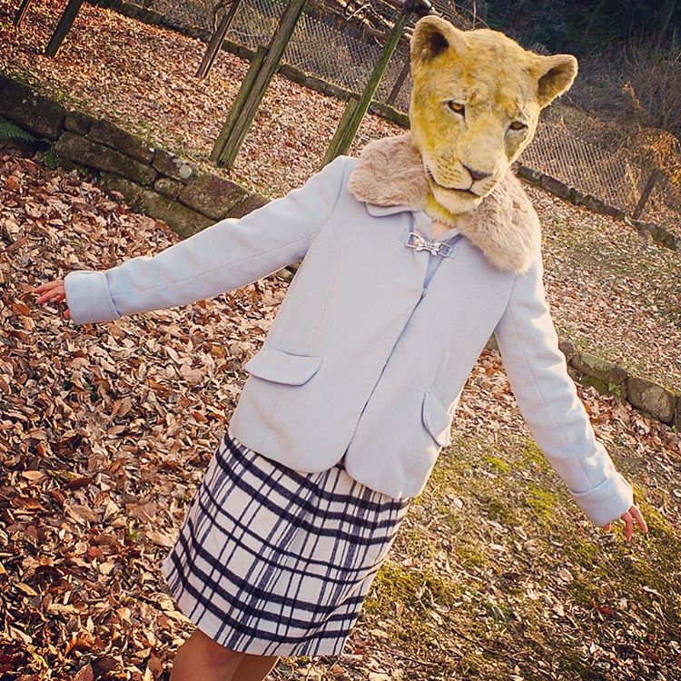 Stunning Realistic Lifelike Animal Masks By Kamonohashi Zokei 16