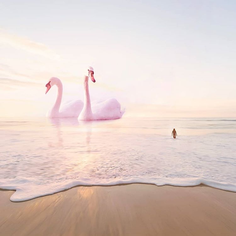 Surrealist Digital Photo Manipulations By Kameliya Schneider 12