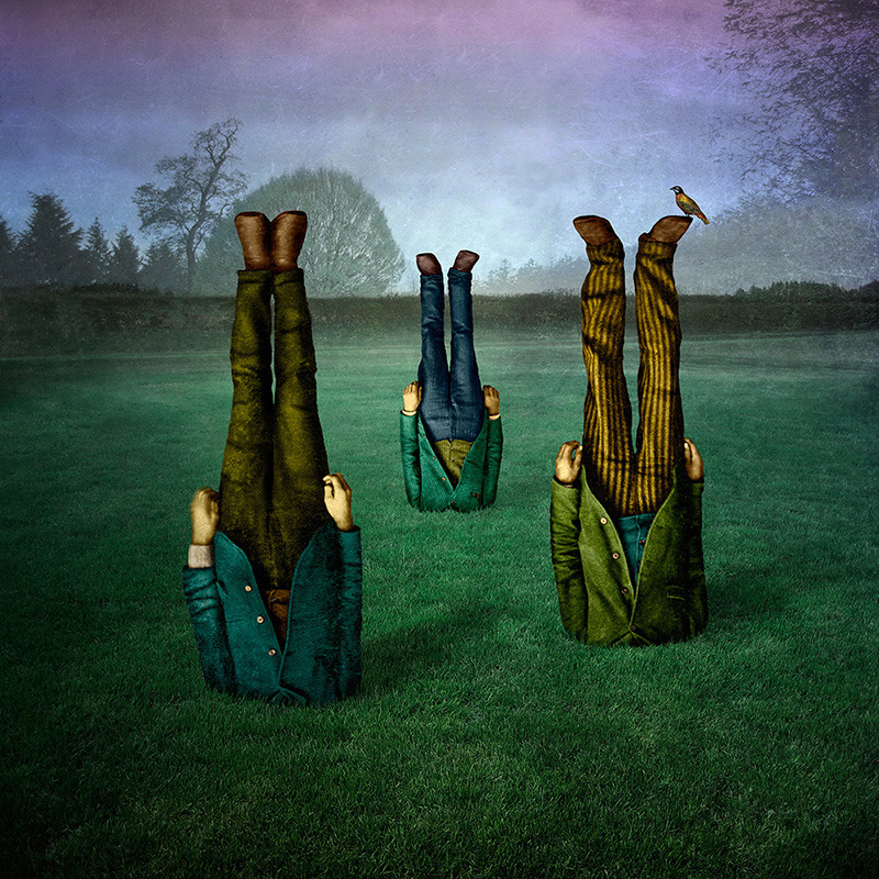 The Gorgeous And Smart Digital Collage Of Maggie Taylor 1