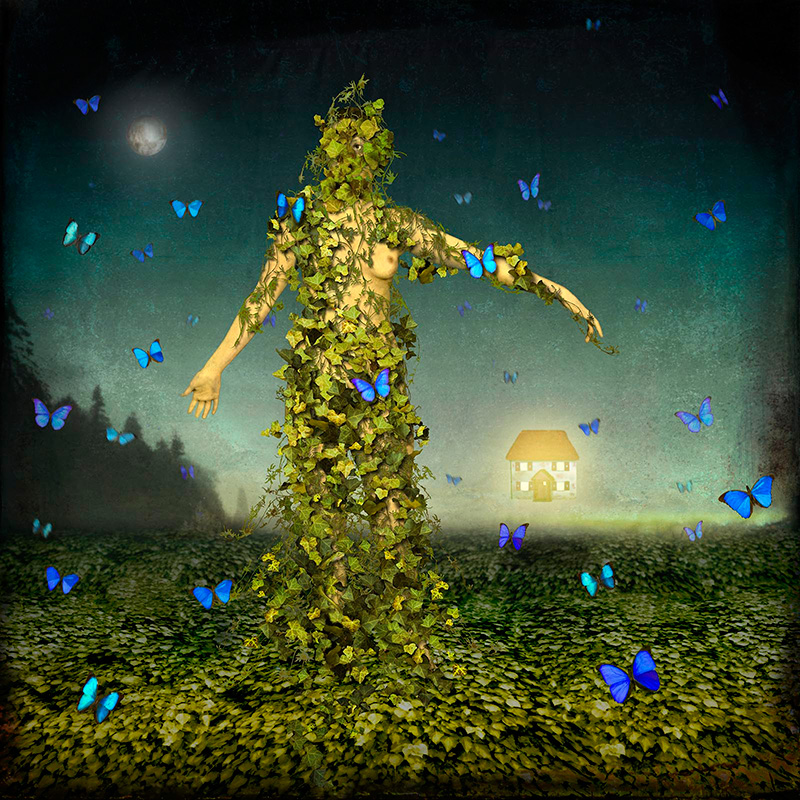 The Gorgeous And Smart Digital Collage Of Maggie Taylor 8