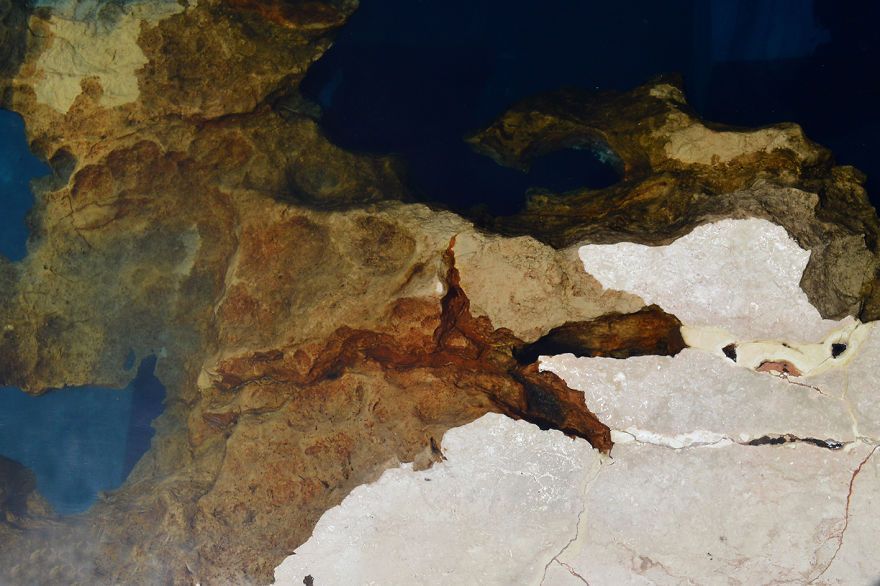 Astonishing Ocean Themed Tables By Alexandre Chapelin 12