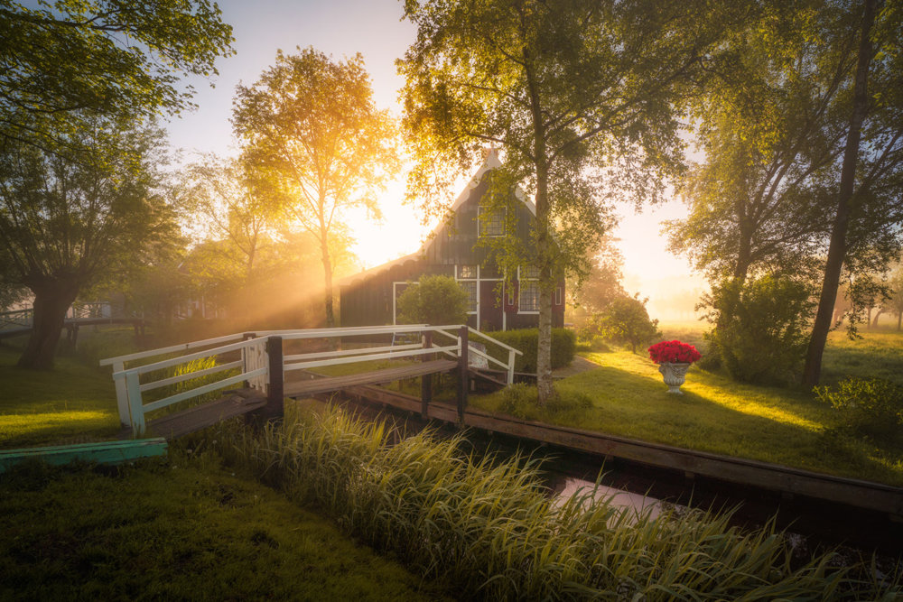 Magic Windmills Enchanting Dutch Landscapes In The Fog By Albert Dros 7